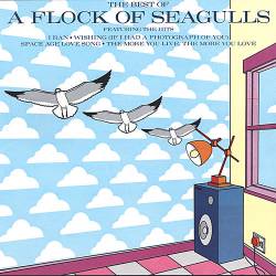 A Flock Of Seagulls : The Best of a Flock of Seagulls